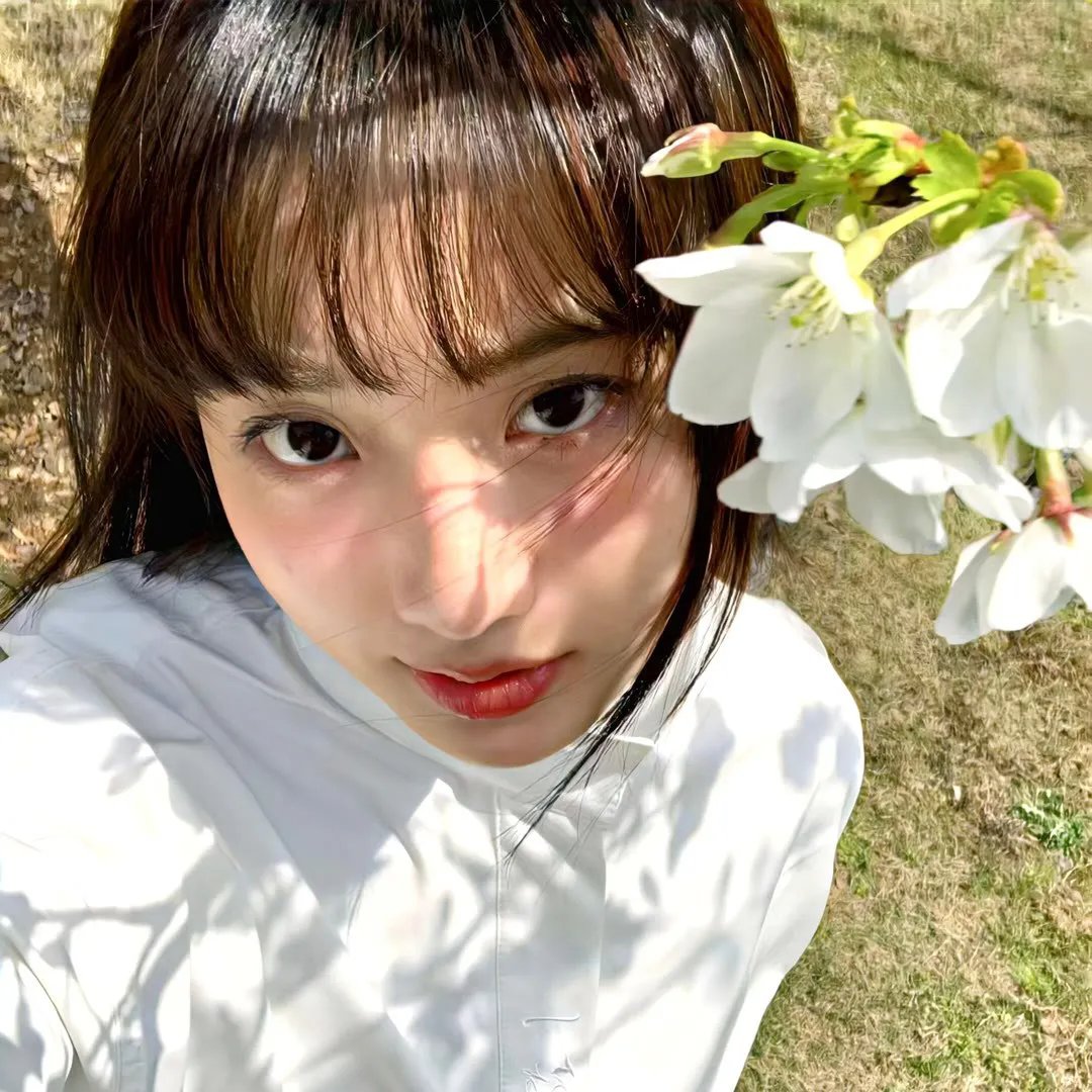 月陨回声焦点图